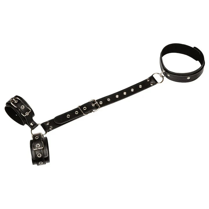 Elysiana™ | Restraints