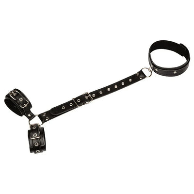Elysiana™ | Restraints