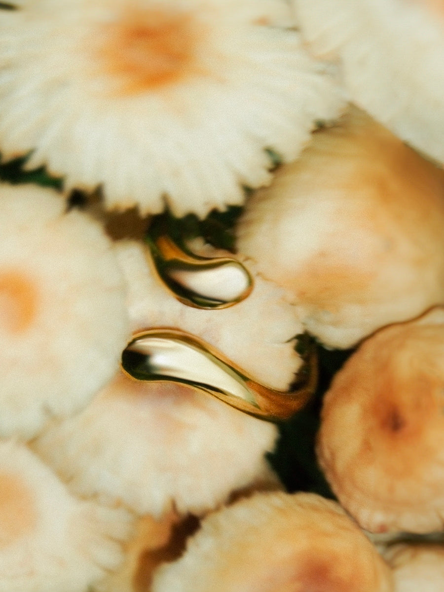 Mace™ | Luxe Ring